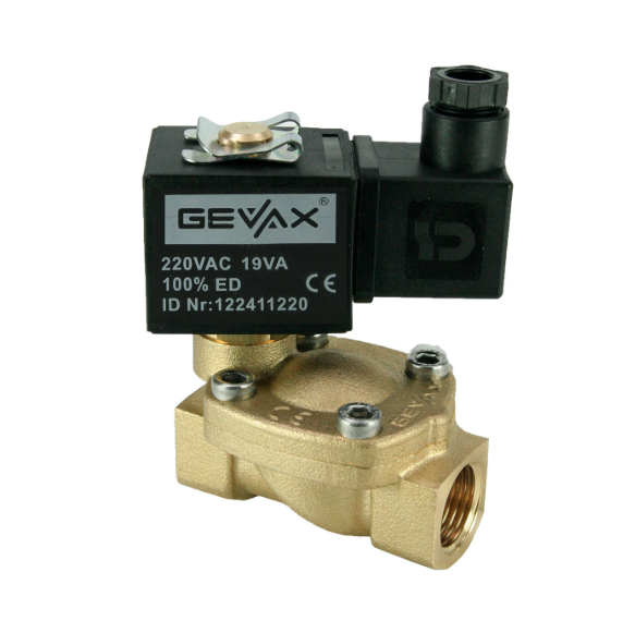 GEVAX 2009